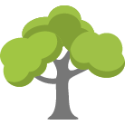 Manchester Tree Removal Service